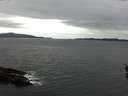 ./images/koeye/fitz-hugh/20160326/fitz-hugh20160326_122402.jpg