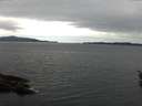 ./images/koeye/fitz-hugh/20160326/fitz-hugh20160326_122703.jpg