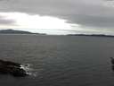 ./images/koeye/fitz-hugh/20160326/fitz-hugh20160326_123302.jpg