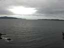 ./images/koeye/fitz-hugh/20160326/fitz-hugh20160326_140303.jpg