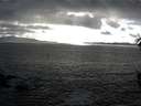 ./images/koeye/fitz-hugh/20160327/fitz-hugh20160327_180302.jpg