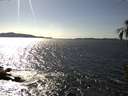 ./images/koeye/fitz-hugh/20160329/fitz-hugh20160329_160302.jpg