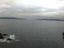 ./images/koeye/fitz-hugh/20160401/fitz-hugh20160401_080303.jpg