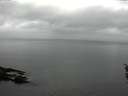 ./images/koeye/fitz-hugh/20160401/fitz-hugh20160401_100301.jpg