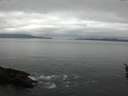 ./images/koeye/fitz-hugh/20160401/fitz-hugh20160401_122702.jpg