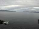 ./images/koeye/fitz-hugh/20160402/fitz-hugh20160402_100302.jpg