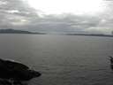 ./images/koeye/fitz-hugh/20160402/fitz-hugh20160402_160302.jpg