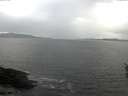 ./images/koeye/fitz-hugh/20160402/fitz-hugh20160402_180302.jpg