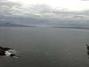 ./images/koeye/fitz-hugh/20160403/fitz-hugh20160403_080302.jpg