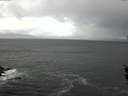 ./images/koeye/fitz-hugh/20160404/fitz-hugh20160404_122702.jpg