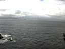 ./images/koeye/fitz-hugh/20160404/fitz-hugh20160404_123302.jpg