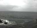 ./images/koeye/fitz-hugh/20160405/fitz-hugh20160405_100302.jpg