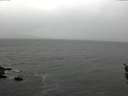 ./images/koeye/fitz-hugh/20160405/fitz-hugh20160405_140302.jpg
