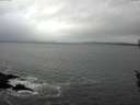 ./images/koeye/fitz-hugh/20160406/fitz-hugh20160406_100302.jpg