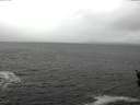 ./images/koeye/fitz-hugh/20160406/fitz-hugh20160406_121802.jpg