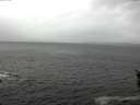 ./images/koeye/fitz-hugh/20160406/fitz-hugh20160406_122102.jpg