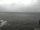 ./images/koeye/fitz-hugh/20160406/fitz-hugh20160406_122402.jpg