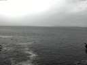 ./images/koeye/fitz-hugh/20160406/fitz-hugh20160406_123301.jpg