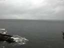 ./images/koeye/fitz-hugh/20160406/fitz-hugh20160406_160302.jpg
