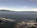 ./images/koeye/fitz-hugh/20160407/fitz-hugh20160407_122101.jpg