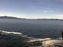 ./images/koeye/fitz-hugh/20160407/fitz-hugh20160407_122402.jpg