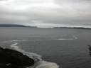 ./images/koeye/fitz-hugh/20160408/fitz-hugh20160408_080302.jpg