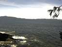 ./images/koeye/fitz-hugh/20160409/fitz-hugh20160409_120302.jpg