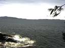 ./images/koeye/fitz-hugh/20160409/fitz-hugh20160409_122103.jpg