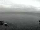 ./images/koeye/fitz-hugh/20160410/fitz-hugh20160410_060302.jpg