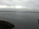 ./images/koeye/fitz-hugh/20160410/fitz-hugh20160410_100302.jpg