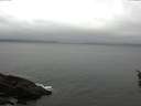 ./images/koeye/fitz-hugh/20160410/fitz-hugh20160410_120302.jpg