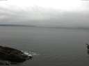 ./images/koeye/fitz-hugh/20160410/fitz-hugh20160410_122103.jpg