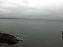 ./images/koeye/fitz-hugh/20160410/fitz-hugh20160410_122402.jpg