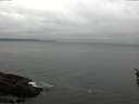 ./images/koeye/fitz-hugh/20160410/fitz-hugh20160410_122702.jpg