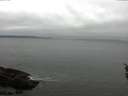 ./images/koeye/fitz-hugh/20160410/fitz-hugh20160410_123303.jpg