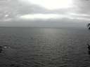 ./images/koeye/fitz-hugh/20160410/fitz-hugh20160410_160301.jpg