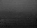 ./images/koeye/fitz-hugh/20160411/fitz-hugh20160411_060302.jpg