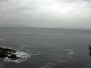 ./images/koeye/fitz-hugh/20160412/fitz-hugh20160412_080302.jpg