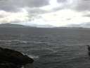 ./images/koeye/fitz-hugh/20160412/fitz-hugh20160412_120301.jpg
