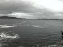 ./images/koeye/fitz-hugh/20160413/fitz-hugh20160413_060301.jpg