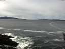 ./images/koeye/fitz-hugh/20160413/fitz-hugh20160413_123302.jpg