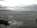 ./images/koeye/fitz-hugh/20160415/fitz-hugh20160415_121801.jpg