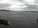 ./images/koeye/fitz-hugh/20160416/fitz-hugh20160416_060303.jpg