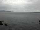 ./images/koeye/fitz-hugh/20160416/fitz-hugh20160416_080302.jpg