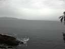 ./images/koeye/fitz-hugh/20160416/fitz-hugh20160416_160302.jpg