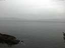 ./images/koeye/fitz-hugh/20160416/fitz-hugh20160416_180301.jpg