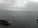./images/koeye/fitz-hugh/20160417/fitz-hugh20160417_060302.jpg