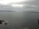 ./images/koeye/fitz-hugh/20160417/fitz-hugh20160417_120302.jpg