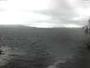 ./images/koeye/fitz-hugh/20160418/fitz-hugh20160418_120302.jpg