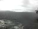 ./images/koeye/fitz-hugh/20160418/fitz-hugh20160418_121802.jpg
